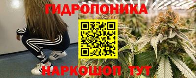 каннабис Кандалакша