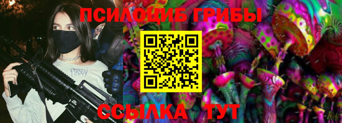 Псилоцибиновые грибы Magic Shrooms Курчалой